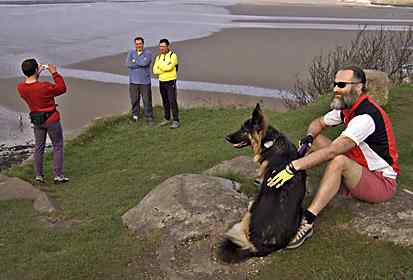 Dog on cliff