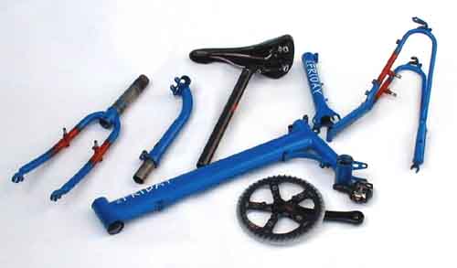 {Newt in pieces}