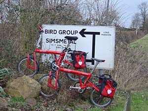 Birdy Group