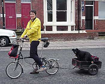 Dog and trailer